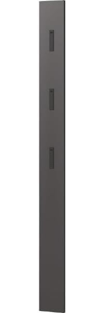 Germania Garderobenpaneel 3728-547, in Graphit, mit drei ausklappbaren Kleiderhaken aus Metall, 15 x 170 x 3 cm (BxHxT) Bild 1
