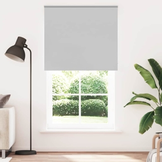 vidaXL Verdunkelungsrollo Hellgrau 140x230cm Stoffbreite 136,6cm 4011474