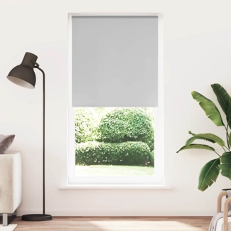 vidaXL Verdunkelungsrollo Hellgrau 100x210cm Stoffbreite 95,7 cm 4011440