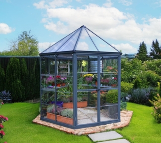 Palram - Canopia Aluminium Gewächshaus Oasis | Anthrazit | Ø 245x267 cm