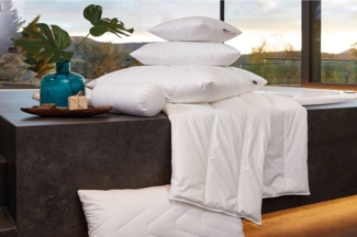 Centa-Star extra 1399.00 Aqua Aktiv Ganzjahresbett (Solobett) 155x220 cm