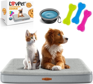 Lovpet® 'Cookie' Hundebett, orthopädisches, Inkl. Napf, 3x Kauknochen, Bezug abnehmbar und waschbar, Schaum / Plüsch / PP-Cotton, Grau / Hellgrau, XL (112 x 81 x 7.6 cm)