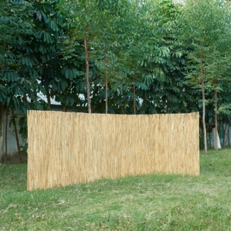 Schilfzaun Abbateggio 160x300 cm [casa. pro]