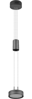 Kleine LED Pendelleuchte FRANKLIN höhenverstellbar Ø 14cm, Anthrazit