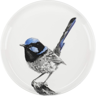 Maxwell & Williams Marini Ferlazzo Teller Fairy Wren, Speiseteller, in Geschenkbox, Premium-Keramik, Mehrfarbig, 20 cm, DX0587
