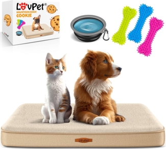 Lovpet® 'Cookie' Hundebett, orthopädisches, Inkl. Napf, 3x Kauknochen, Bezug abnehmbar und waschbar, Schaum / Plüsch / PP-Cotton, Beige, M (76 x 51 x 7.6 cm)