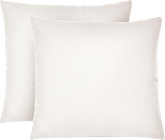 biberna Feinjersey-Kopfkissenbezug 0077144, natur, 2x 40x40 cm