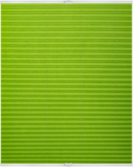 Lichtblick Sonnenschutzsysteme GmbH Plissee Nizza 60 cm x 210 cm (BxL) Grün Tageslicht; einfache Installation mit Klemmträgern; verspannt