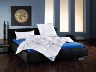 f.a.n. Kansas – Steppbett aus 100% Microfaser, kochfest und trocknergeeignet, auch für Allergiker, Ausführung: Leicht-Steppbett, Größe: 200 x 220 cm