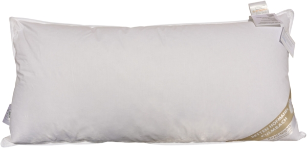 Betten Hofmann Ideal Kopfkissen 40x80 cm Daunenkissen Kissen Polster 60% Daunen 500 g prall
